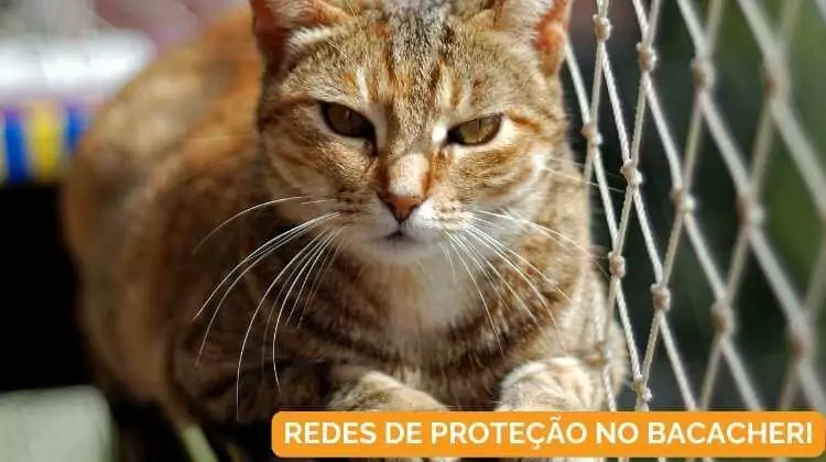 Redes de Proteção no Bacacheri em Curitiba