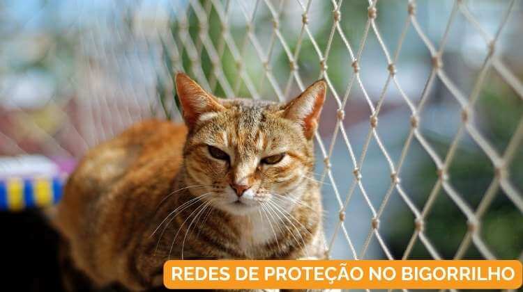 Redes de Proteção no Bigorrilho em Curitiba