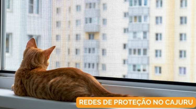 Redes de Proteção no Cajuru em Curitiba