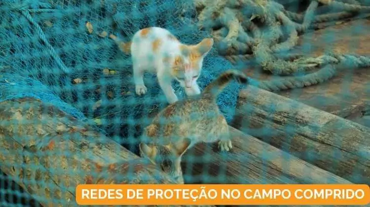 Redes de Proteção no Campo Comprido em Curitiba