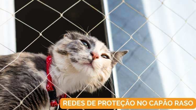 Redes de Proteção no Capão Raso em Curitiba