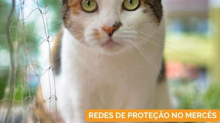 Redes de Proteção no Mercês em Curitiba